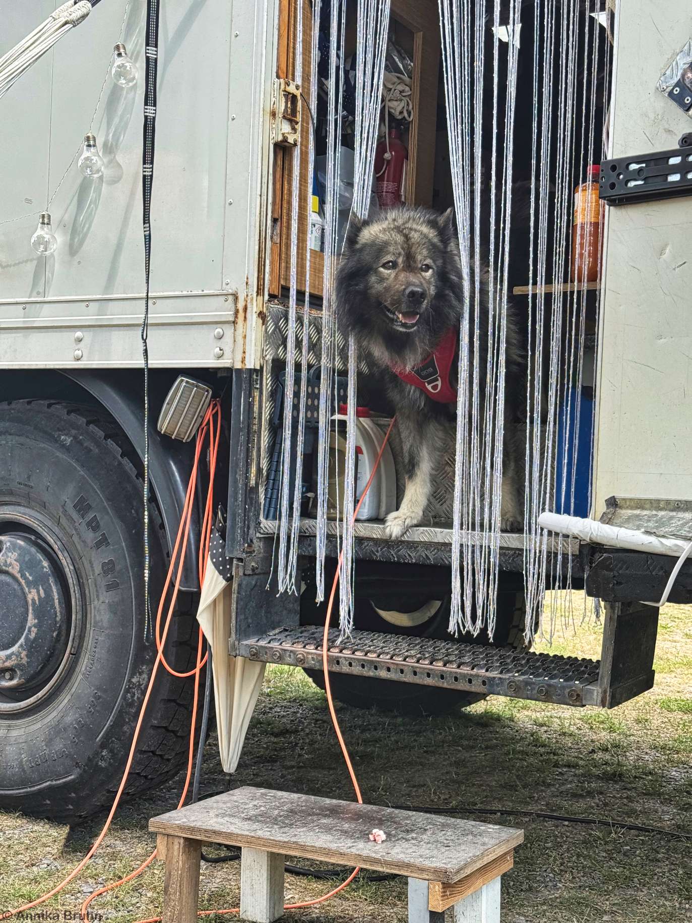 Q schaut nach rechts es ist wieder sicher